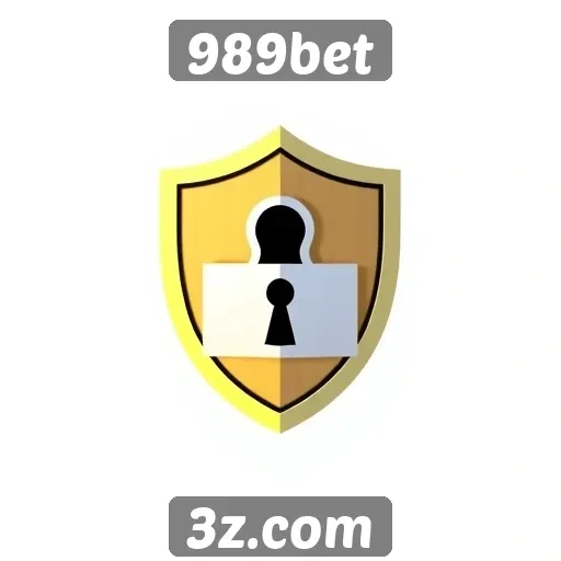 Segurança e proteção de dados no site 989bet